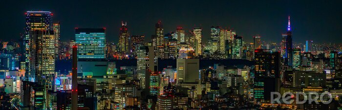 Canvas Tokio stad 's nachts
