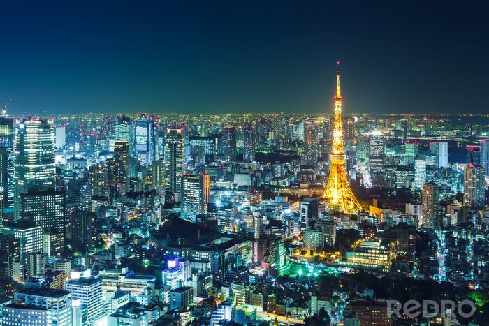 Canvas Tokyo skyline in de nacht