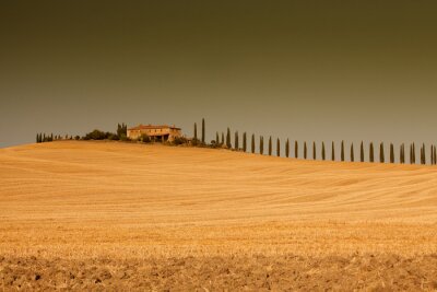 Canvas Toscana # 6