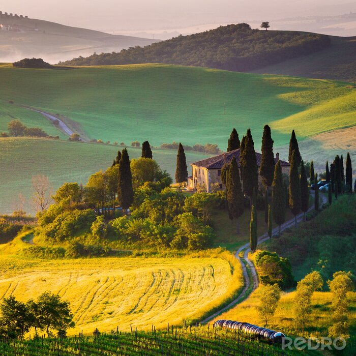 Canvas Toscana, mattino in Val d'Orcia