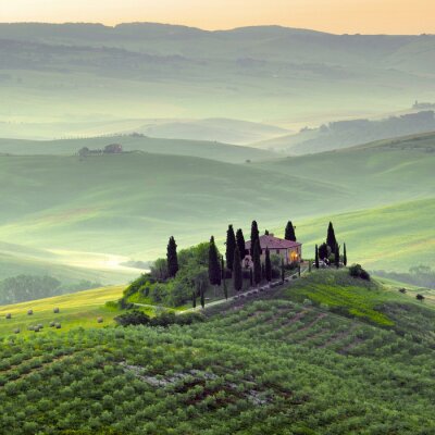 Canvas Toscana, paesaggio.