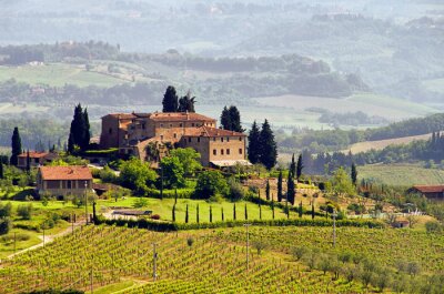 Toscane en huizen bij de wijngaarden