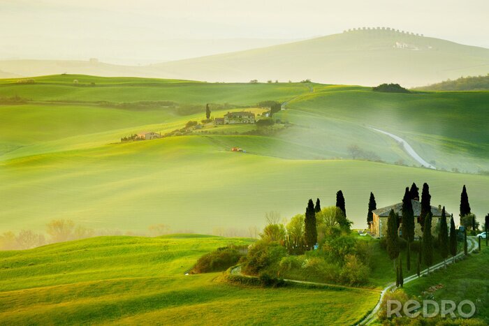 Canvas Toscane en velden in de mist