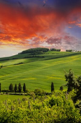Canvas Toscane heuvels en het platteland in Chianti regio