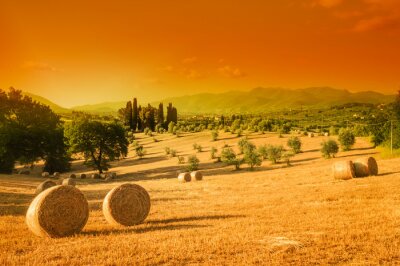 Canvas Toscane landschap, zomer