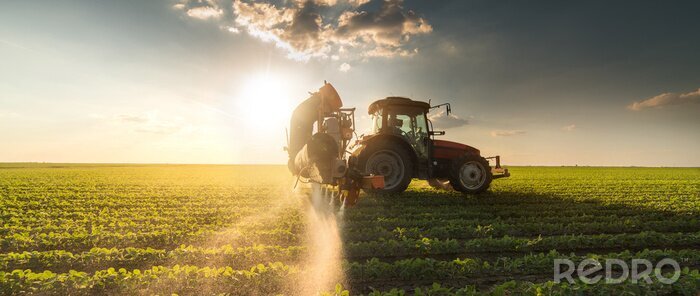 Canvas Tractor spuiten sojaboon veld in de lente