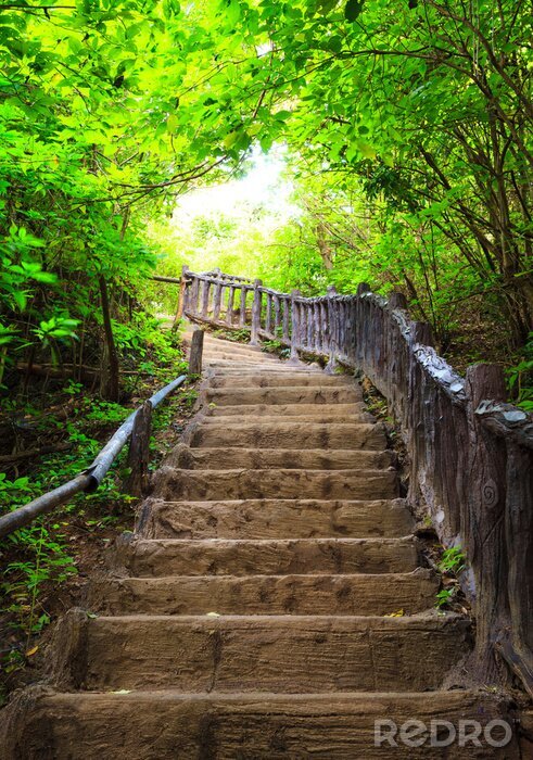 Canvas Trap naar het bos