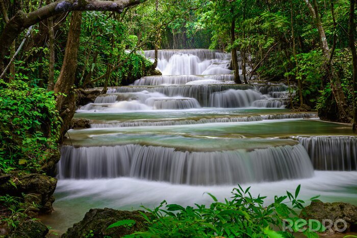 Canvas Trapsgewijze waterval in het regenwoud