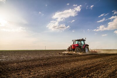 Trekker cultiveren veld in de lente