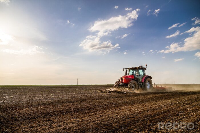 Canvas Trekker cultiveren veld in de lente