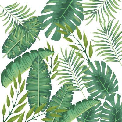 Canvas tropical leafs foliage pattern background