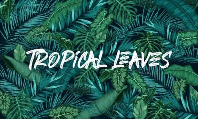 Canvas Tropical leaves forest background