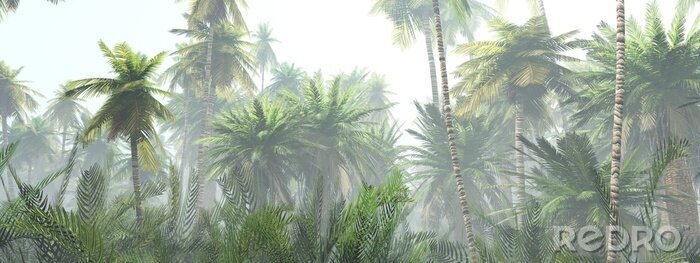 Canvas Tropisch oerwoud licht wazig landschap