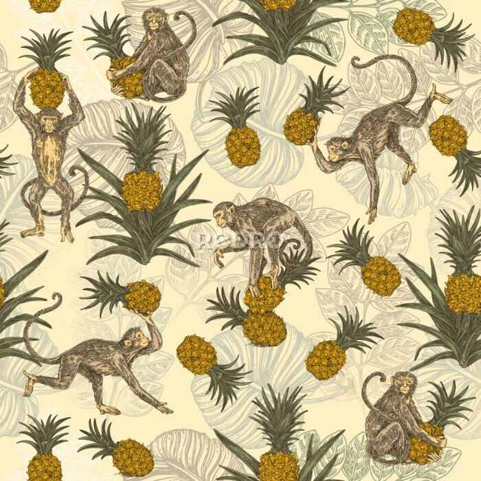 Canvas Tropisch ontwerp van apen met ananassen