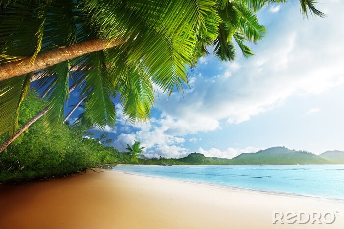 Canvas Tropisch strand aan de oceaan