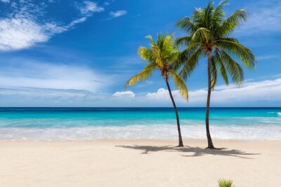 Canvas Tropisch strand met palmbomen