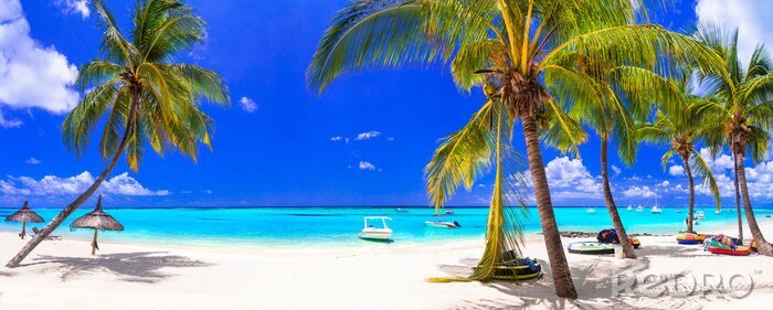 Canvas Tropisch strand op Mauritius