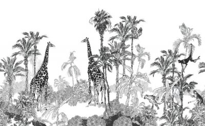 Tropisch zwart-wit ontwerp met giraffen