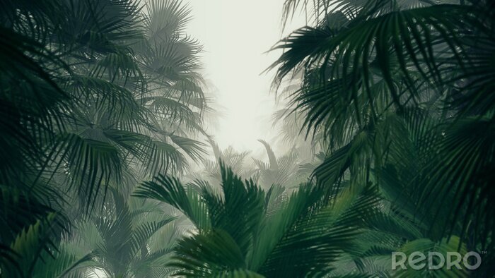 Canvas Tropische jungle boomtoppen
