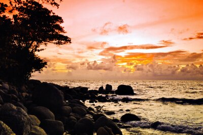 Canvas Tropische kleurrijke zonsondergang.