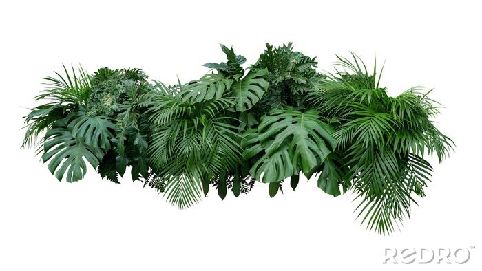 Canvas Tropische planten met gaten