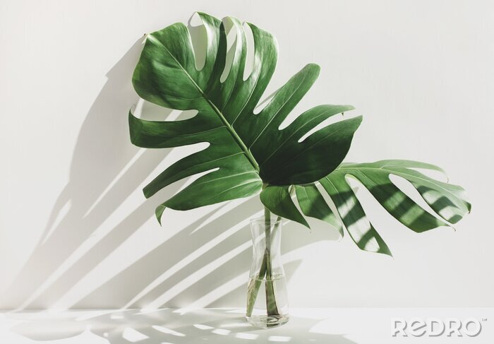 Canvas Tropische planten op een lichte achtergrond