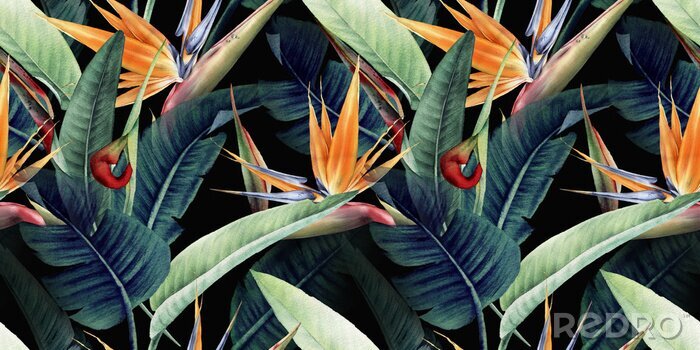 Canvas Tropische plantenbladeren op zwarte achtergrond
