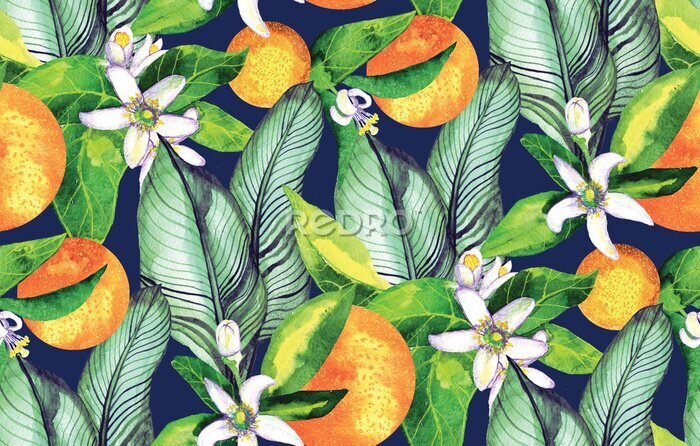 Canvas tropische sinaasappelboom