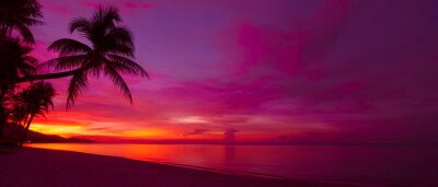 Canvas Tropische zonsondergang met palmboom silhouet panorama