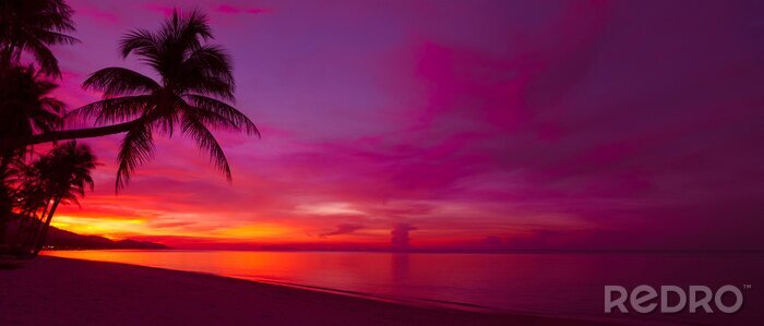Canvas Tropische zonsondergang met palmboom silhouet panorama