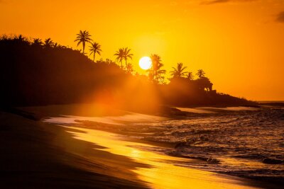 Canvas Tropische zonsondergang op het strand met palmen