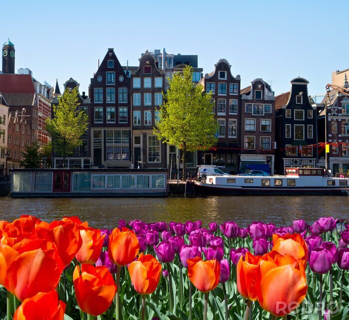 Canvas Tulpen en kanaal in Amsterdam