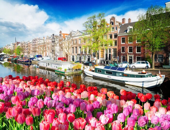 Canvas Tulpen in Amsterdam