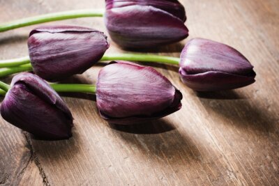 Canvas tulpen op houten achtergrond