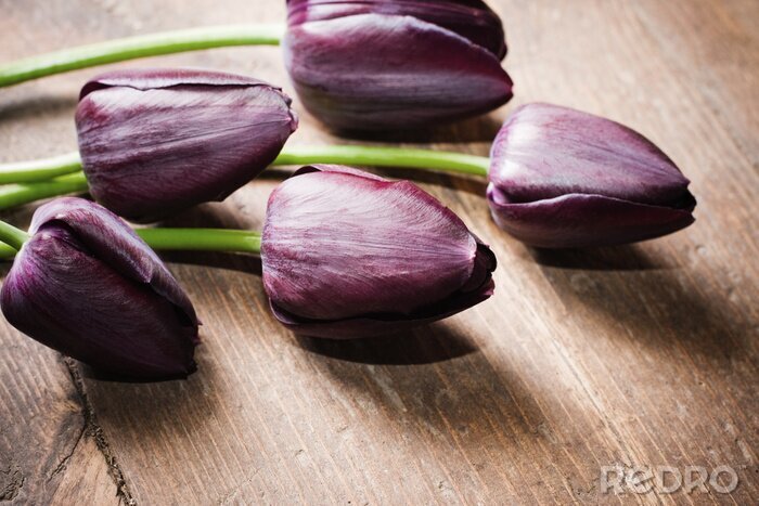 Canvas tulpen op houten achtergrond