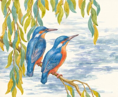 Twee geschilderde vogels
