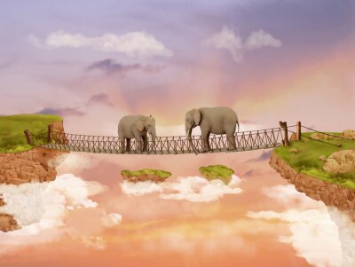 Canvas Twee olifanten op een brug in de lucht