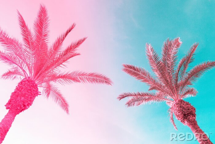 Canvas Twee palmbomen tegen een kleurrijke lucht