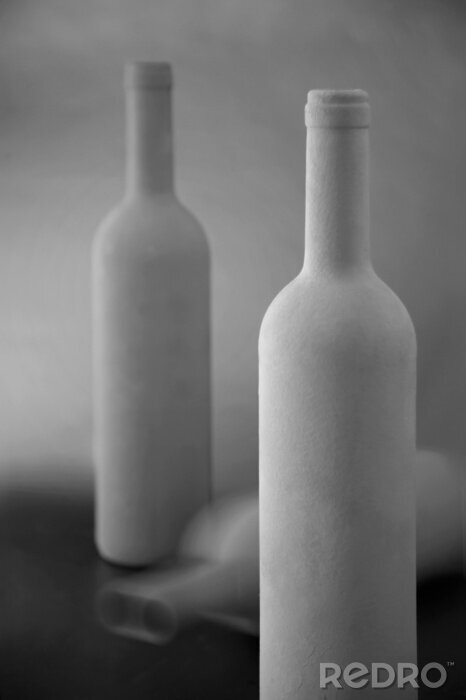 Canvas Twee witte flessen