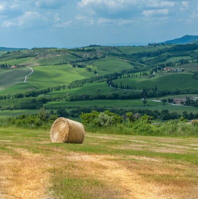 Canvas Typisch Toscaanse landschap
