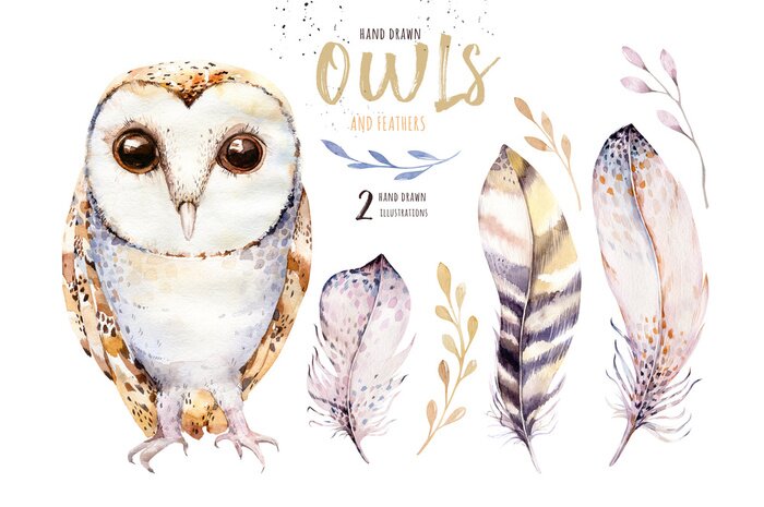 Canvas Uil en delicate veren