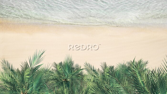 Canvas Uitzicht in vogelvlucht op palmbomen aan de kust