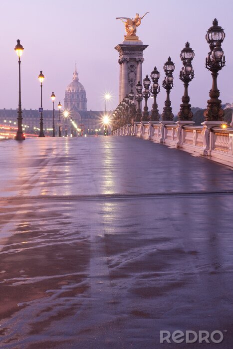 Canvas Uitzicht op de brug in Manhattan