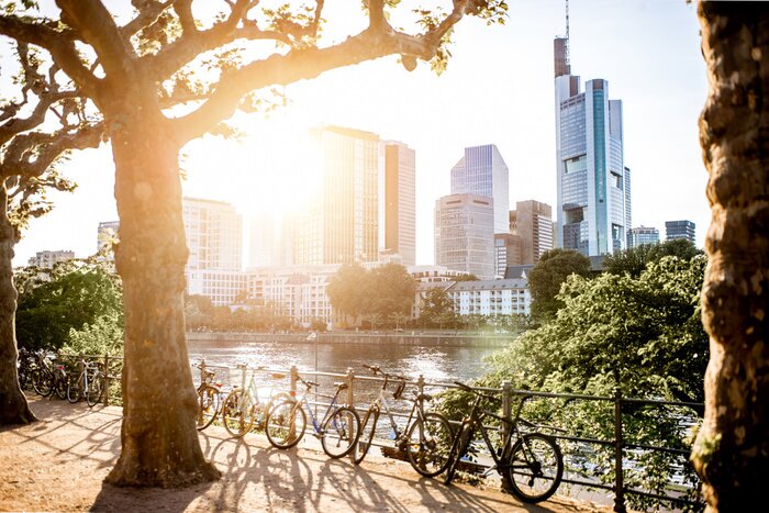 Canvas Uitzicht op de financiële wijk met de belangrijkste rivier en park tijdens de zonsondergang in Frankfurt, Duitsland