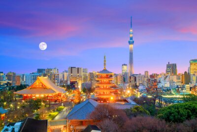 Canvas Uitzicht op Tokio in de schemering