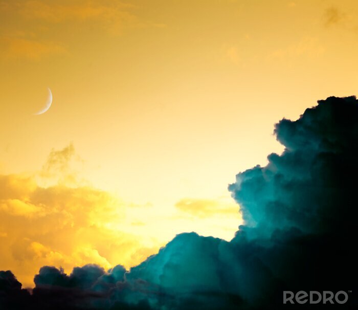 Canvas Uitzonderlijke natuur