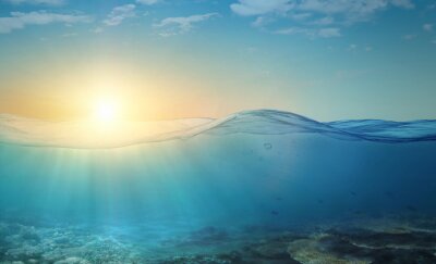 Sticker Underwater background