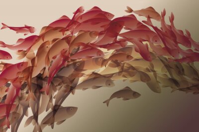 Canvas vector illustratie van koi vis