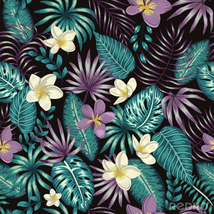 Canvas Vector seamless pattern of emerald green tropical leaves with white and purple plumeria flowers on black background. Summer or spring repeat tropical backdrop. Exotic jungle ornament..