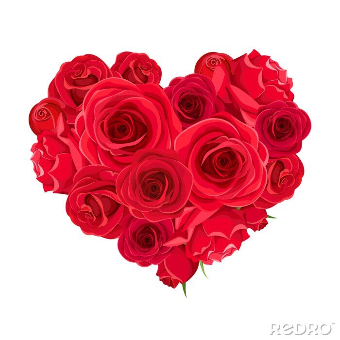 Canvas Vector Valentine’s day heart of red roses isolated on a white background.